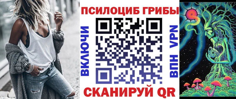 дарнет шоп Лосино-Петровский Галлюциногенные грибы Psilocybine cubensis